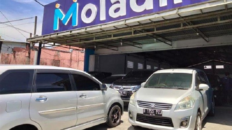 Moladin Dealer