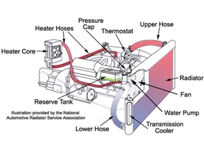 Fungsi Radiator Motor