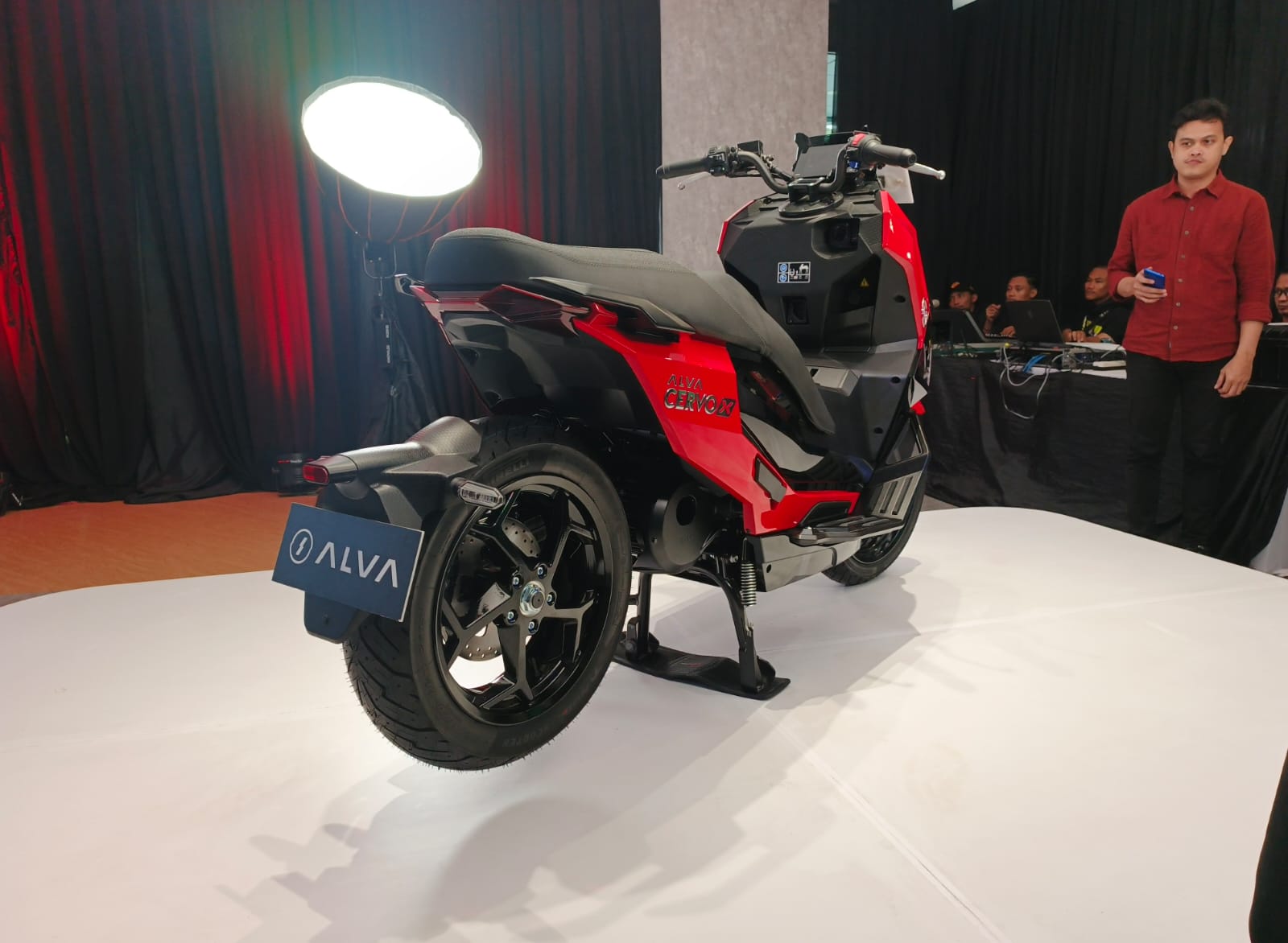 Alva cervo x 4