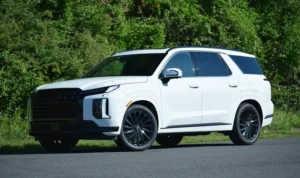 hyundai palisade mobil mewah keluarga - moladin