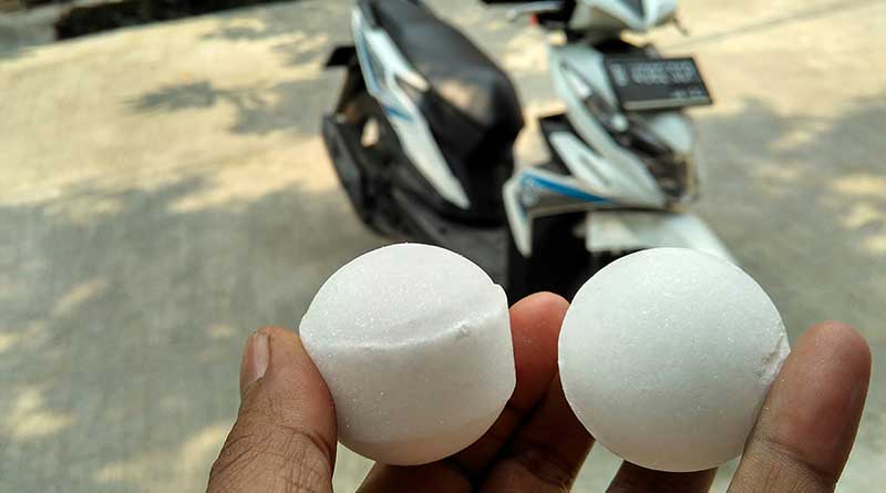 Kapur Barus untuk pengusir binatang pengerat