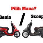 Perbandingan Genio vs Scoopy, Mana yang Paling Tepat untuk Kamu?