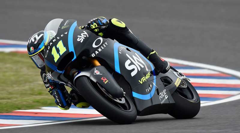 Bulega