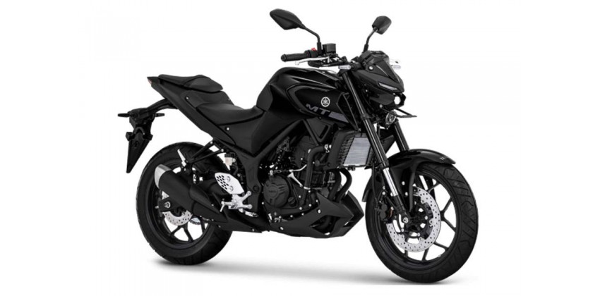 Yamaha MT 25