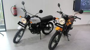 Kawasaki W175 TR, Motor Retro Scrambler Seharga Rp30 Jutaan