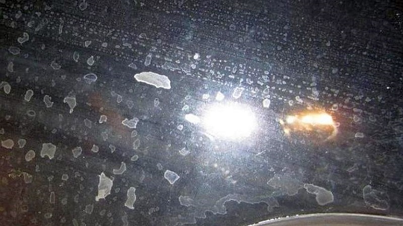 Cara Menghilangkan Jamur Kaca Mobil, Ampuh Sob! Tips menghilangkan jamur di kaca mobil