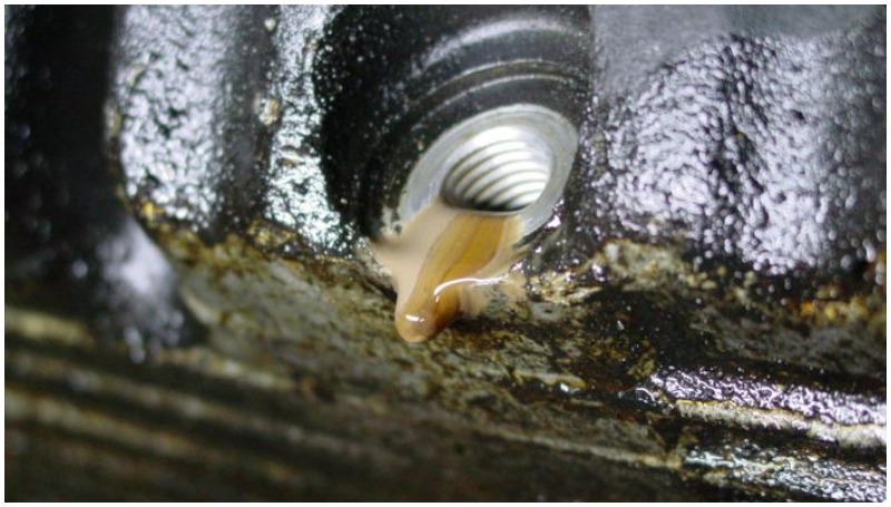 Ini Akibat Motor Kehabisan Oli Mesin, Jangan Anggap Enteng! akibat motor kehabisan oli mesin