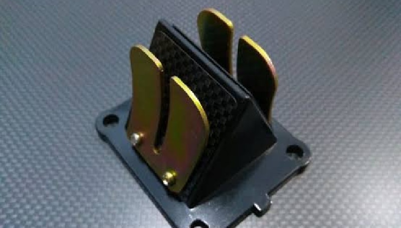 Membran RX King Bocor