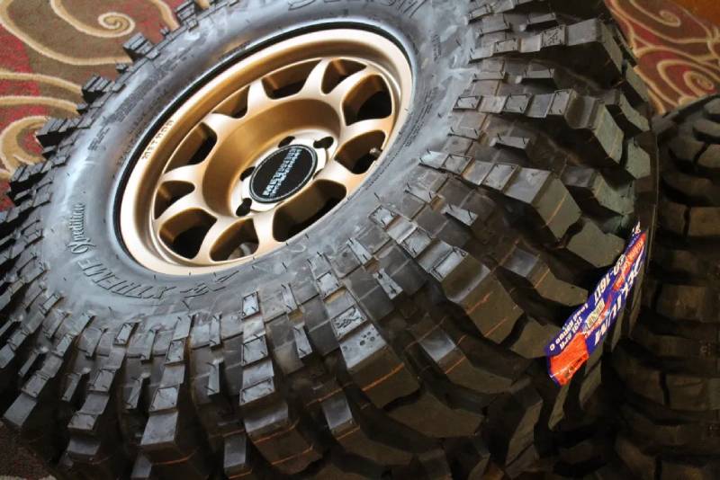 Delium Xtreme Xpedition