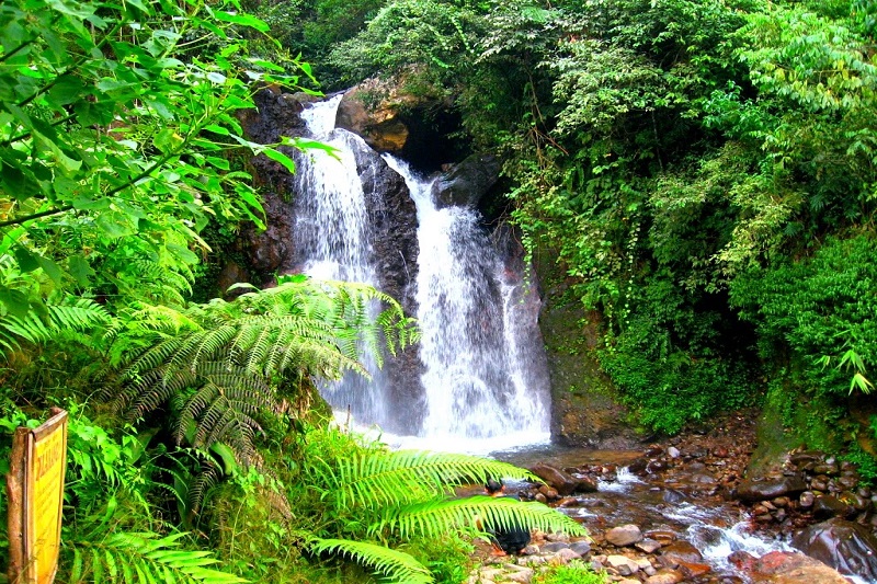 Road Trip Ke 14 Tempat Wisata di Bogor, Serta Biayanya! Tempat wisata di Bogor