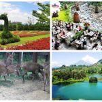 6 Tempat Wisata Hits di Puncak yang Ramah Mobil - Tuwaga