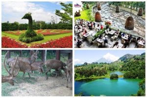 6 Tempat Wisata Hits di Puncak yang Ramah Mobil