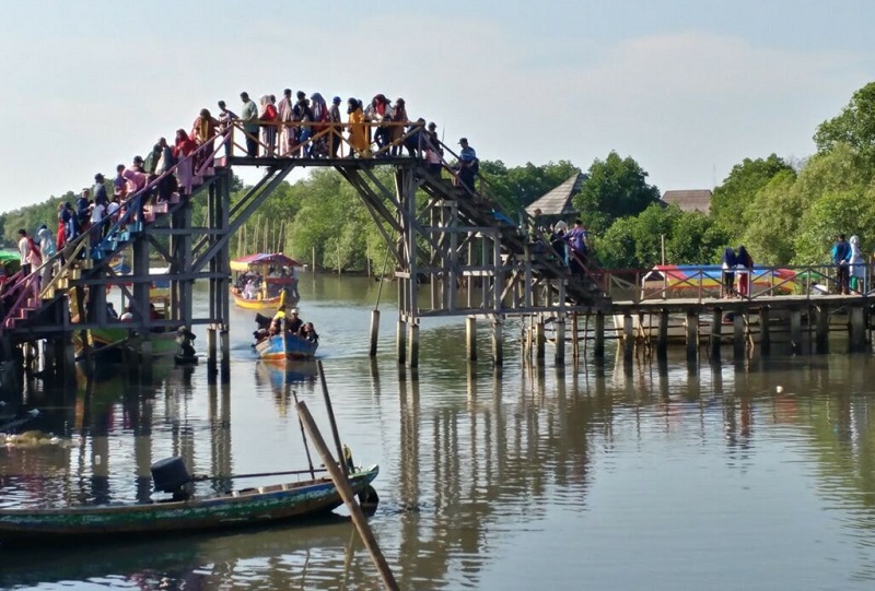 hutan mangrove tarumajaya - jembatan cinta