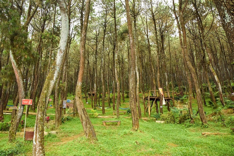 6 Tempat Wisata Hits di Purwakarta yang Ramah Mobil Tempat wisata di Purwakarta