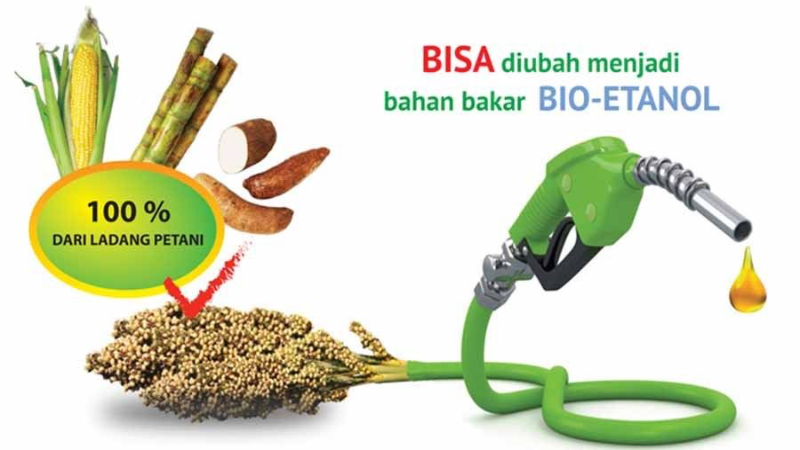 Indonesia dan Jepang Siap Kembangkan Bio Fuel, Lebih Ramah Lingkungan Dari Mobil Listrik? Indonesia dan Jepang siap kembangkan Bio Fuel