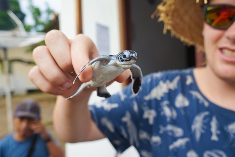 tempat wisata di banyuwangi - pantai sukamade
