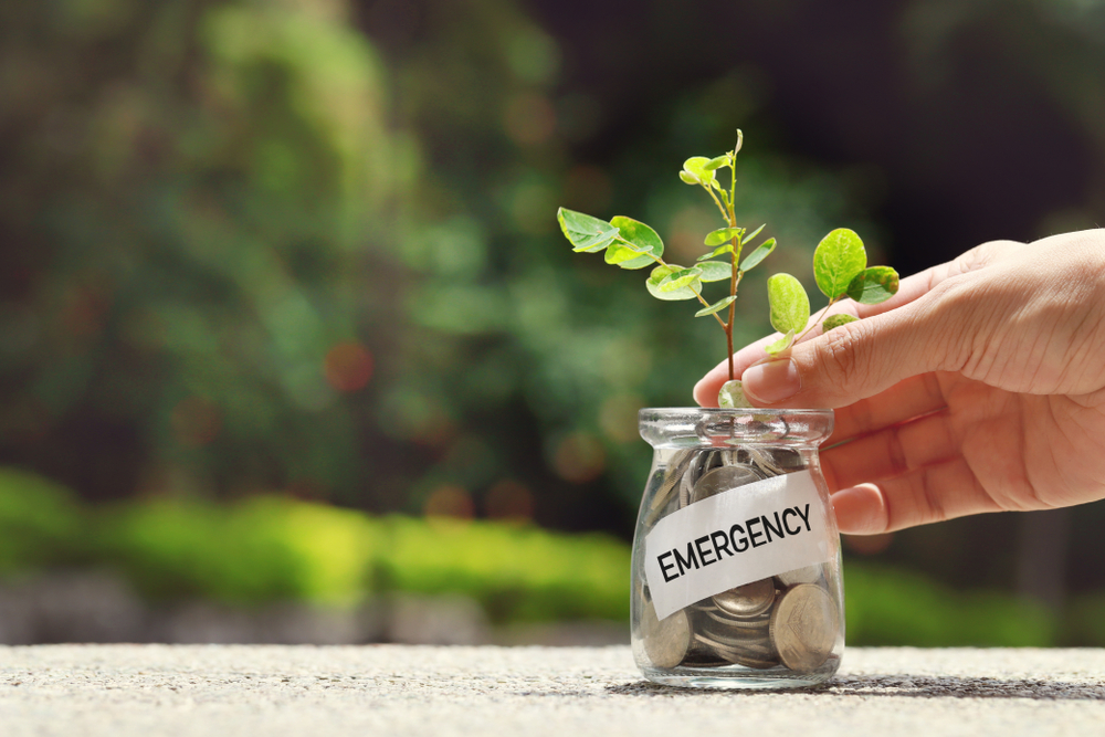 shutterstock 1095106109