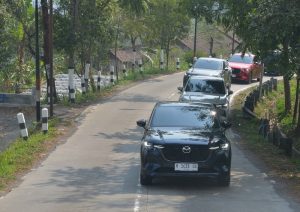 7 Penyebab Mobil Limbung, Ancaman Tersembunyi di Jalan