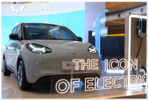 Inden Wuling Binguo EV Gratis Electric Icon Priority Pack Senilai Rp 47 Juta!