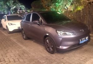 Begini Rasanya Naik Neta V Dibawa ke Luar Kota