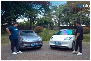 Komparasi Neta V vs Binguo EV, Siapa Lebih Nyaman?