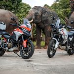 Menikmati Eksotisme Taman Safari Pakai Ducati Multistrada V4 S dan Desert X