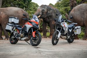 Menikmati Eksotisme Taman Safari Pakai Ducati Multistrada V4 S dan Desert X