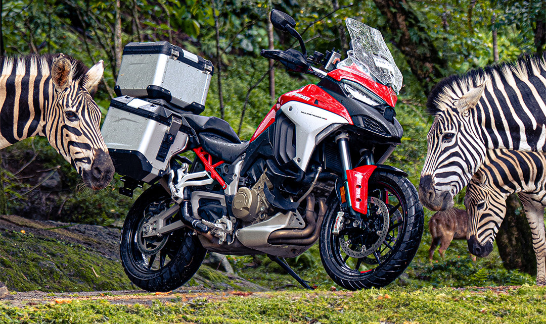Menikmati Eksotisme Taman Safari Pakai Ducati Multistrada V4 S dan Desert X Ducati Multistrada V4 S punya tenaga 170 hp