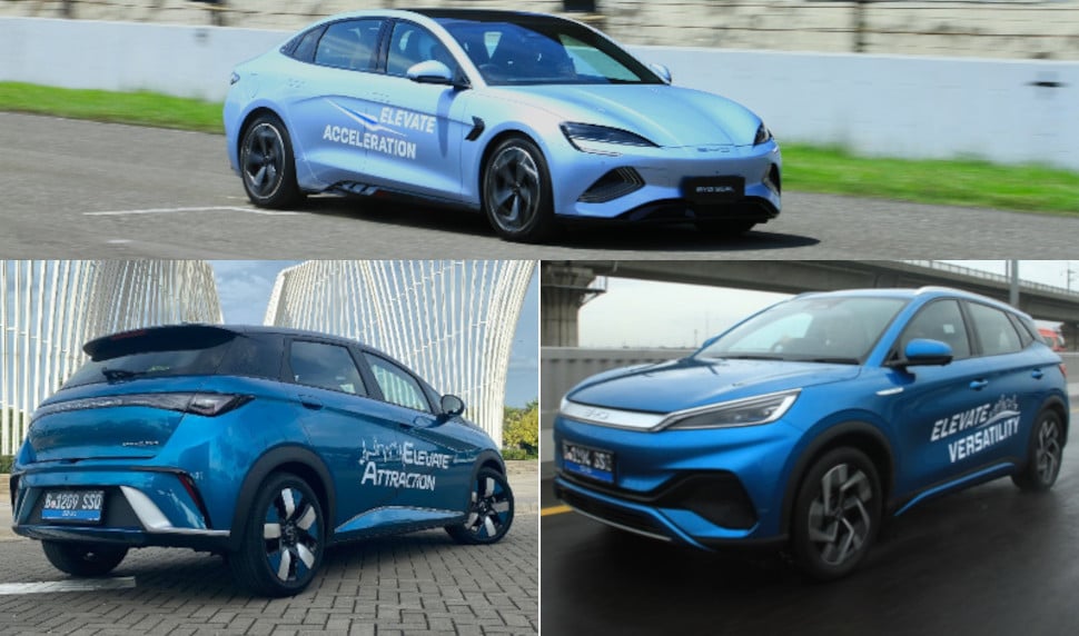 harga byd dolphin dan dua saudaranya