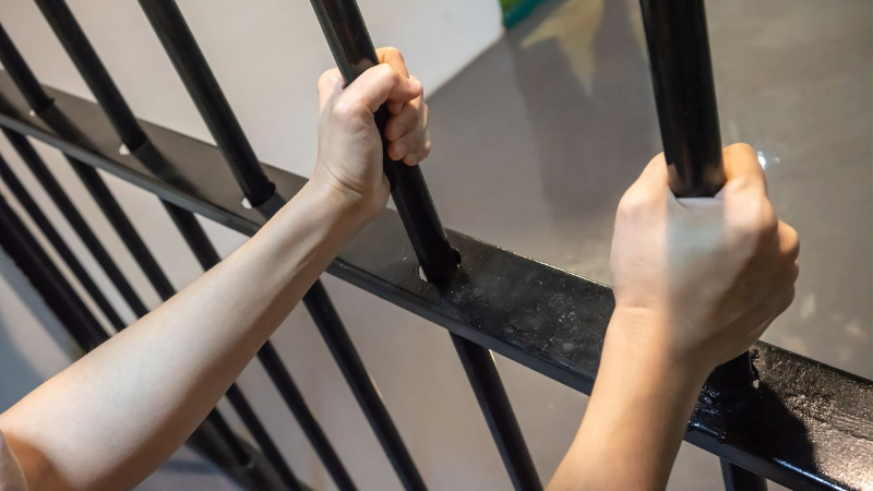 Update Sopir Fortuner Plat TNI Palsu Ditangkap, Ternyata Punya Motif Khusus! Sopir Fortuner berpelat TNI palsu