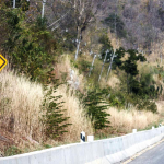 5 Tanjakan Paling Ekstrem di Indonesia, Mana Yang Pernah Kalian Lewati?