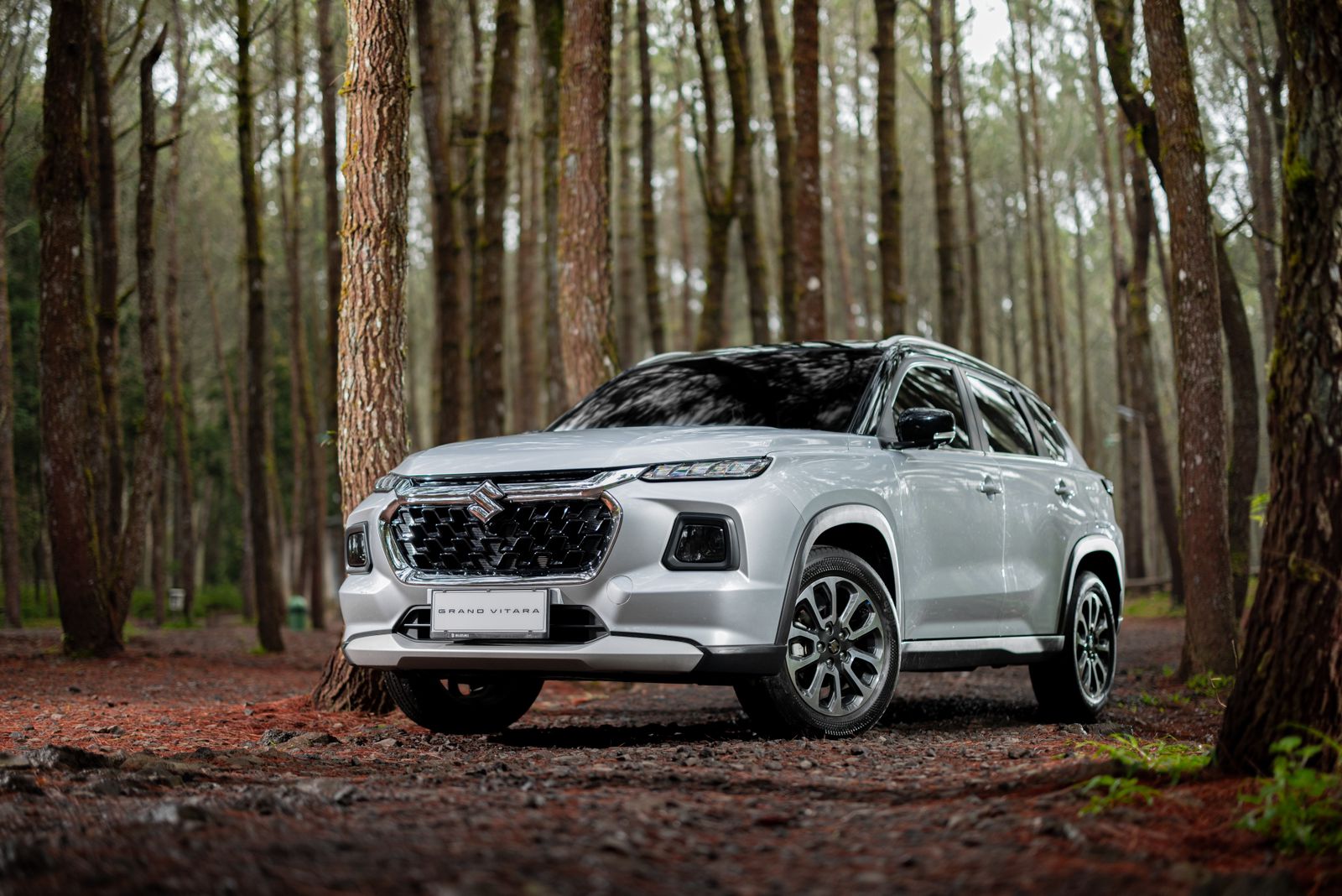 Suzuki Catat Pertumbuhan Penjualan Hingga 17% di Bulan November 2024 Grand Vitara meningkat 8%