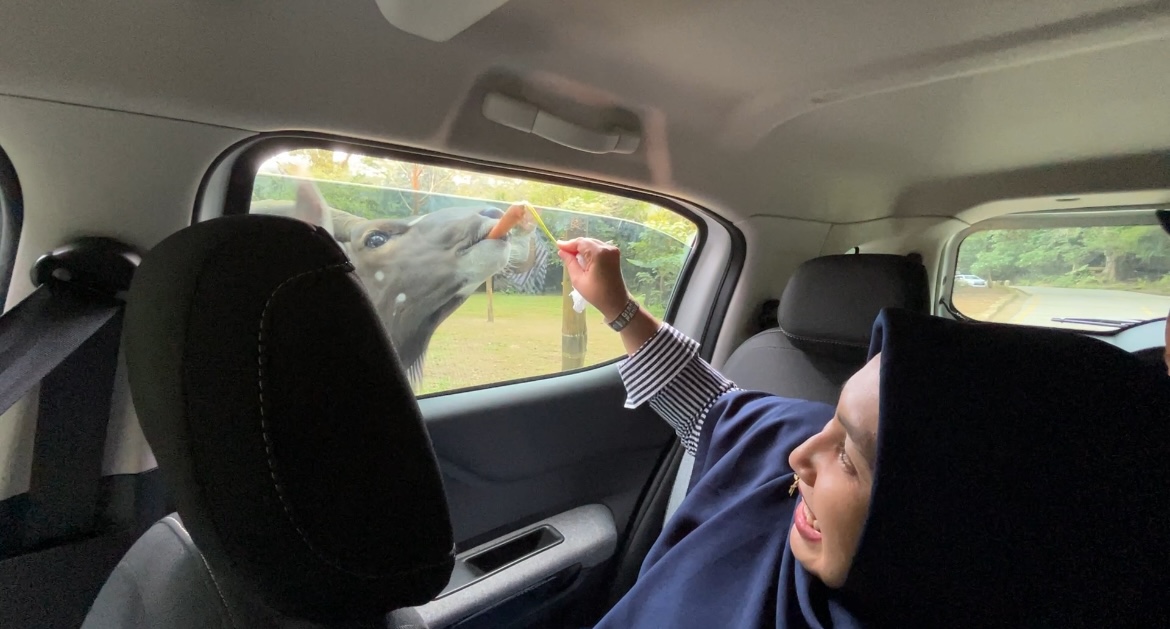 #MoLibur2024 : Citroen C3 Aircross Bikin Tambah Romantis Liburan ke Kota Hujan IMG 5674