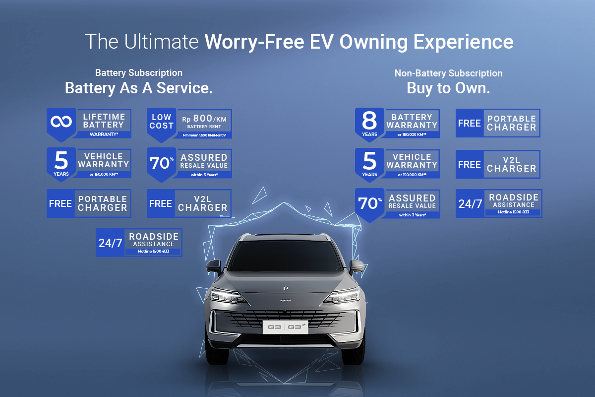 2. Battery as a Service