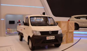 DFSK Super Cab - Moladin