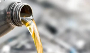 Q7fN31701155182040YmtfF