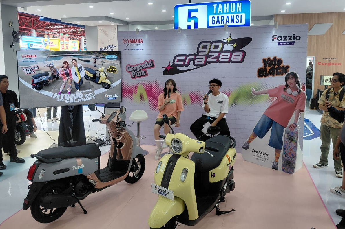 Fazzio New Color 2 1