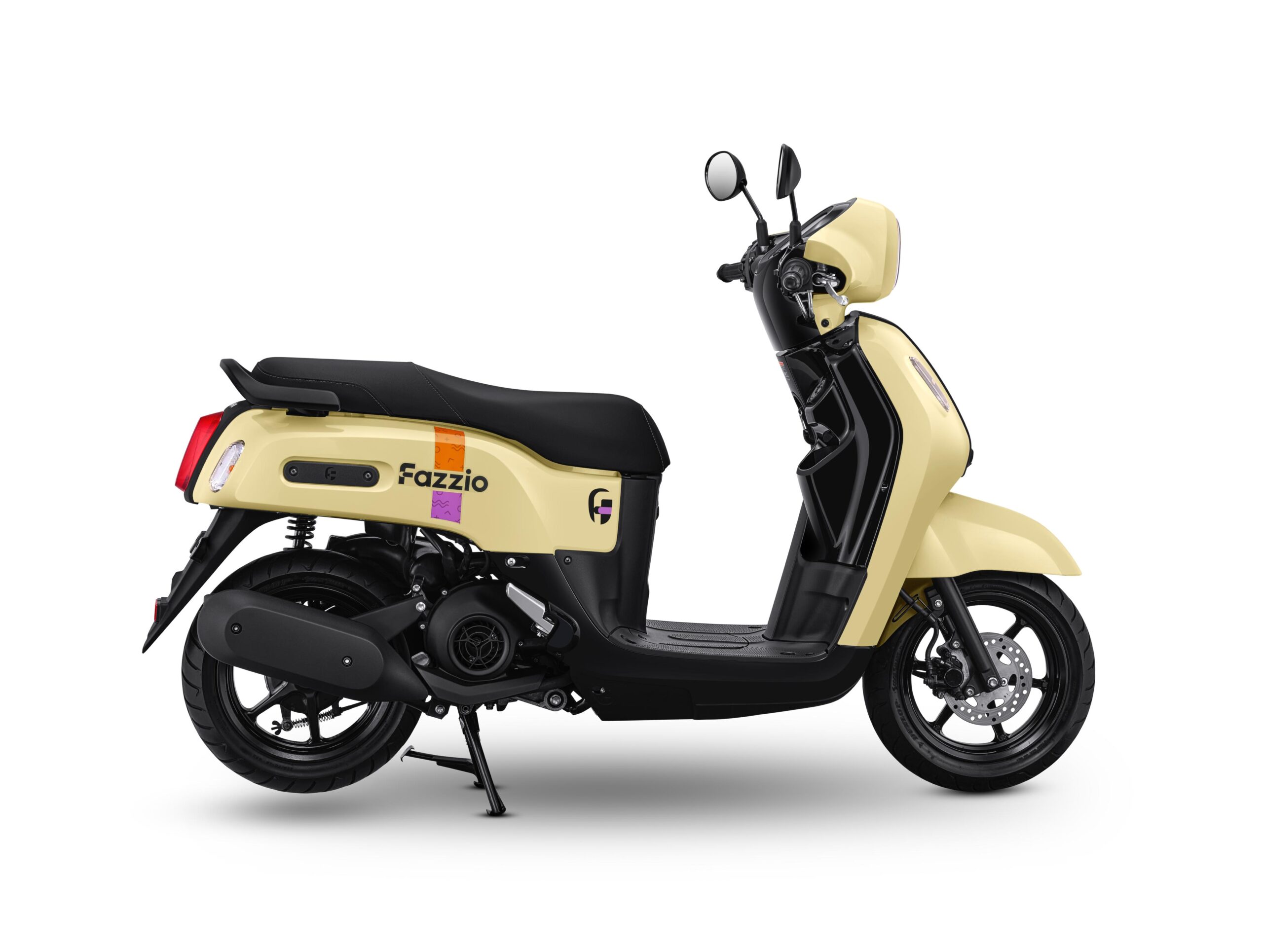 Fazzio New Color 3 1 scaled