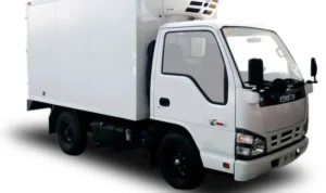 mobil angkutan barang truk pendingin