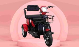 motor listrik roda 3 Uwinfly R3 Maleo