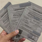 Cara Daftar SIM Internasional Online 2026, Siapkan Syarat dan Biaya Berikut - Tuwaga
