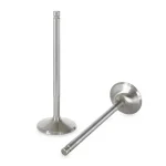 Fungsi Intake Valve, Cara Kerja, dan Jenis-jenisnya