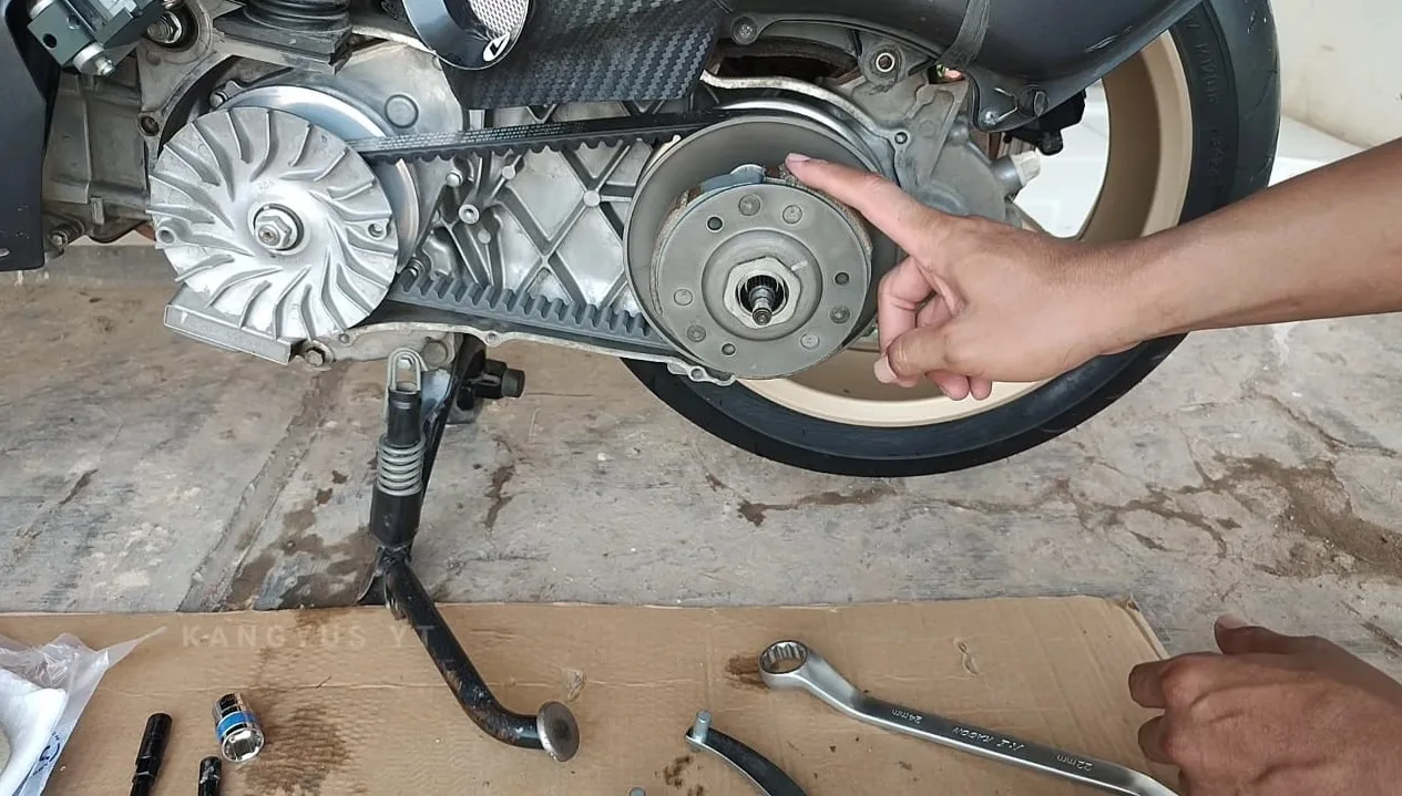 mengenal lebih dekat kampas ganda - Moladin