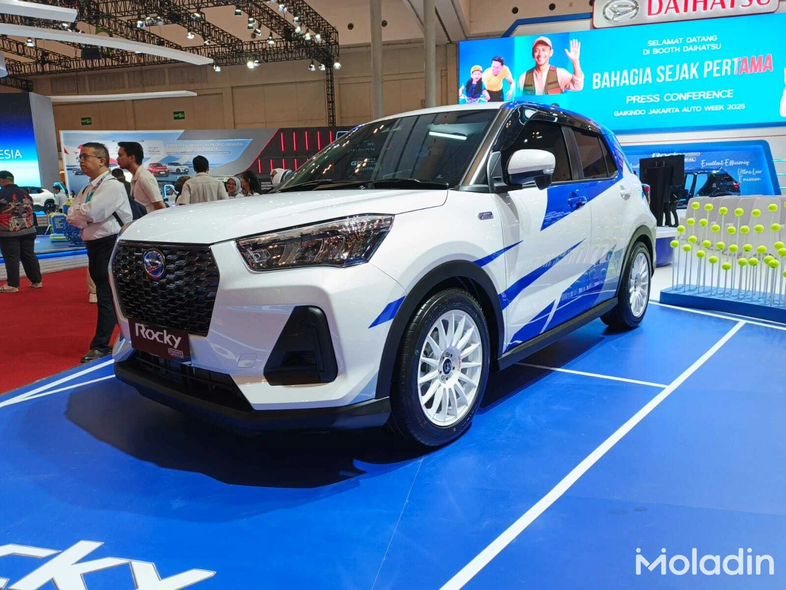 rocky hybrid - Moladin