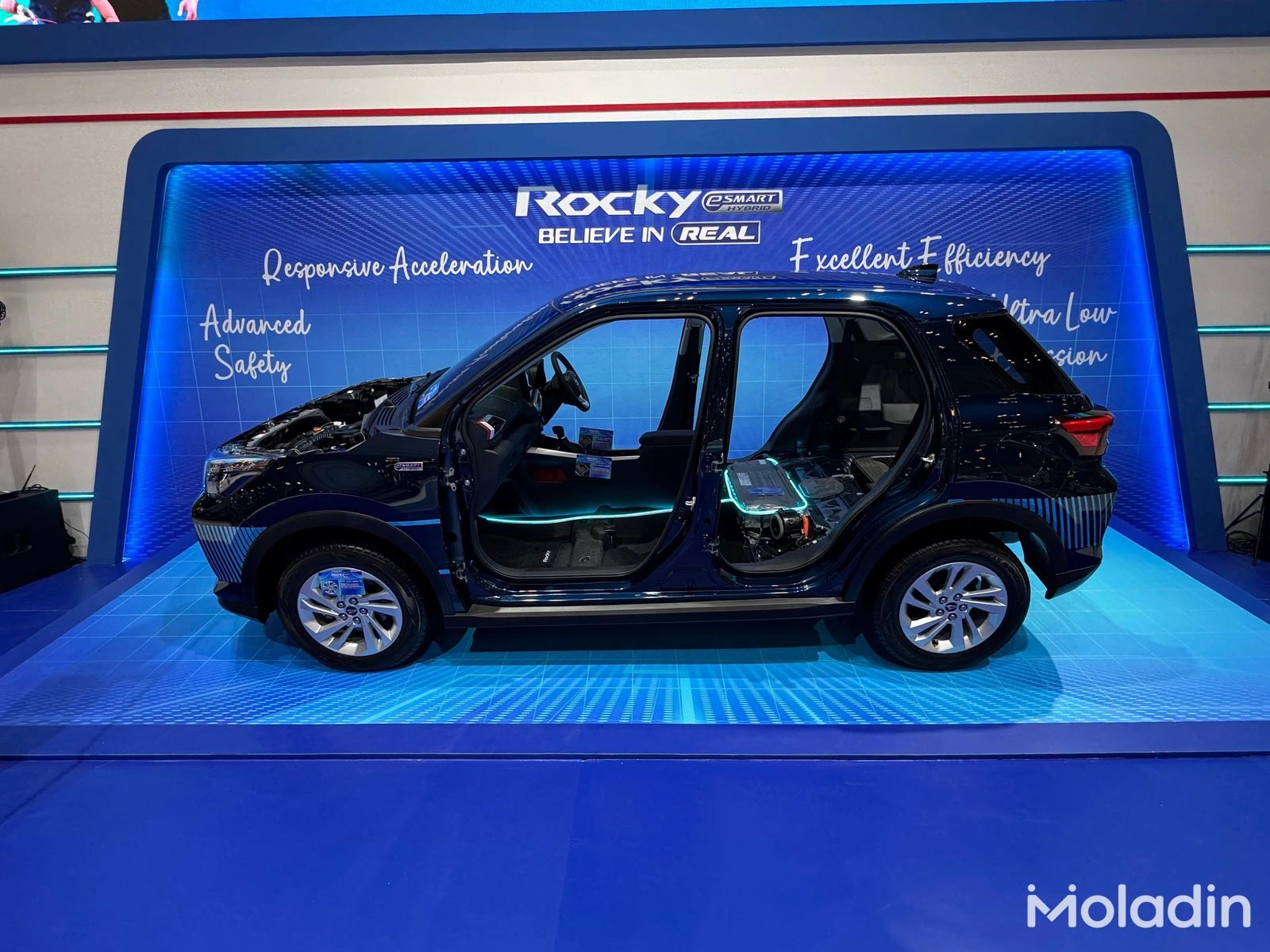 rocky hybrid - Moladin