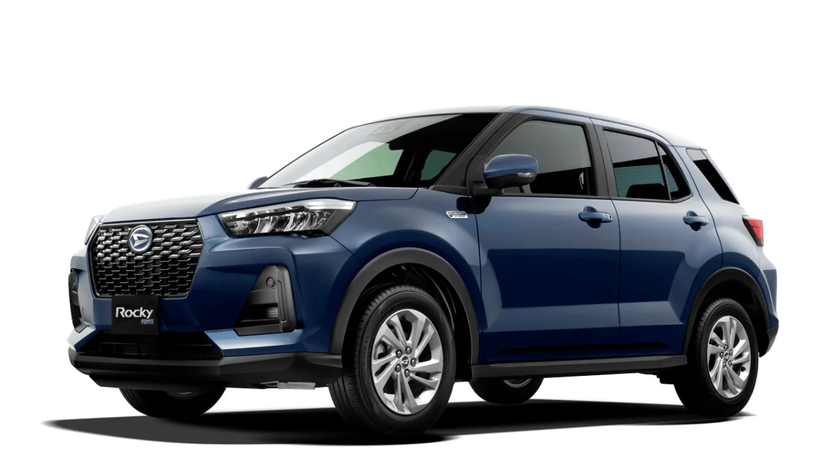 rocky hybrid - Moladin