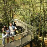 31 Wisata Bogor Murah untuk Keluarga yang Wajib Dikunjungi - Tuwaga