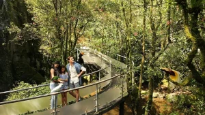 31 Wisata Bogor Murah untuk Keluarga yang Wajib Dikunjungi