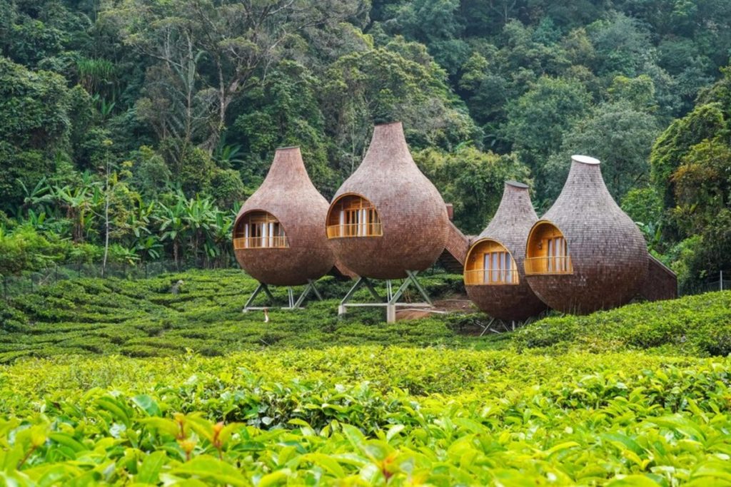 tempat wisata dekat stasiun bogor