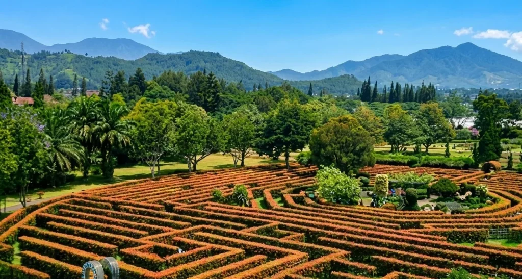 wisata alam bogor Taman Bunga Nusantara - Moladin